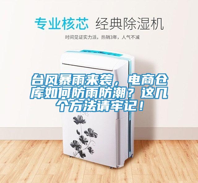 台風暴雨來襲，電商倉庫如何防雨防潮？這幾個方法請牢記！