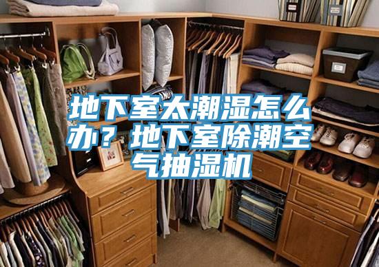 地下室太潮濕怎麽辦？地下室除潮空氣抽濕機