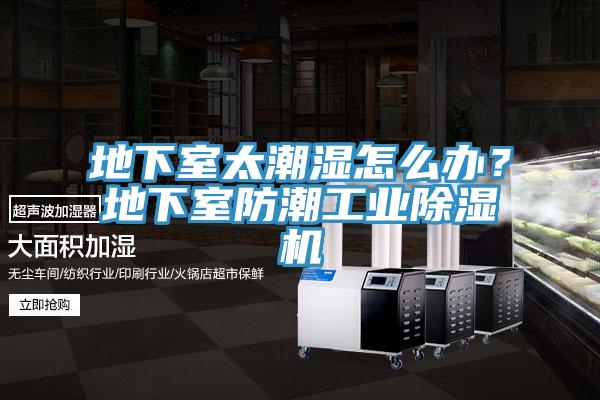 地下室太潮濕怎麽辦？地下室防潮工業榴莲视频官网APP