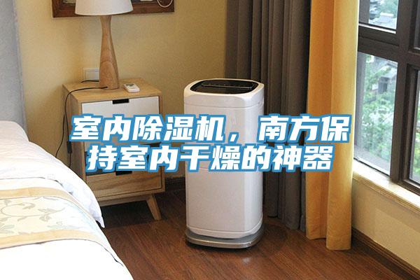 室內榴莲视频官网APP，南方保持室內幹燥的神器