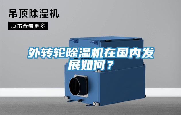 外轉輪榴莲视频官网APP在國內發展如何？