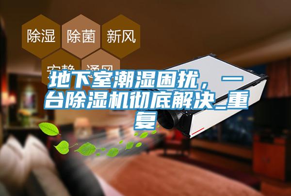 地下室潮濕困擾，一台榴莲视频官网APP徹底解決_重複