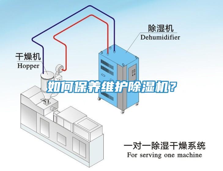 如何保養維護榴莲视频官网APP？