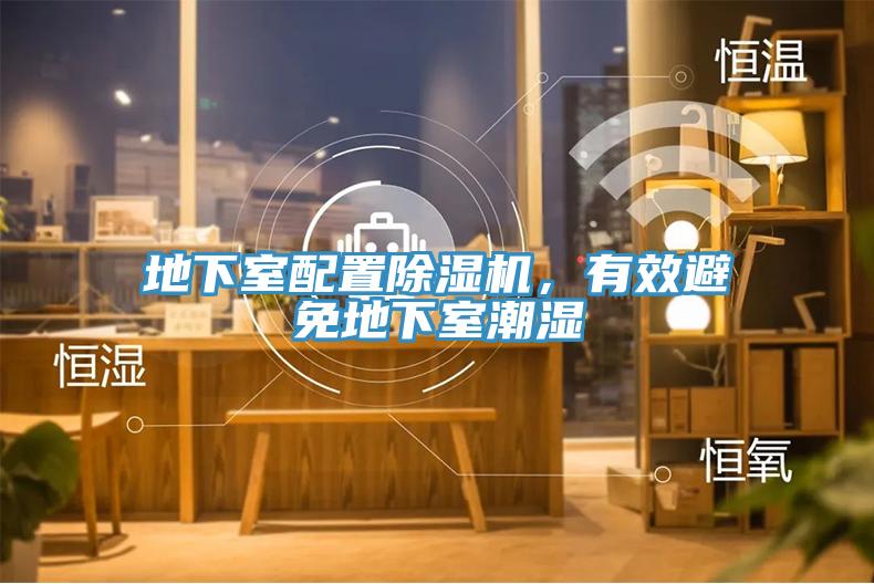 地下室配置榴莲视频官网APP，有效避免地下室潮濕