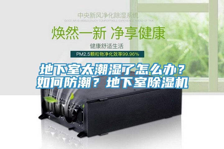 地下室太潮濕了怎麽辦？如何防潮？地下室榴莲视频官网APP