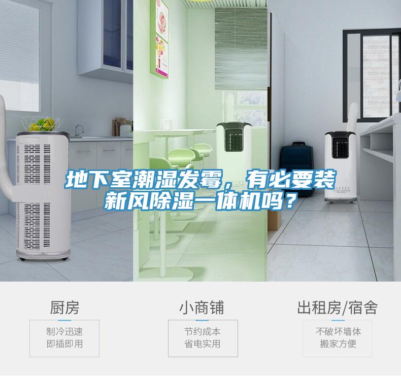 地下室潮濕發黴，有必要裝新風除濕一體機嗎？