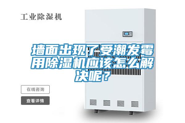 牆麵出現了受潮發黴用榴莲视频官网APP應該怎麽解決呢？