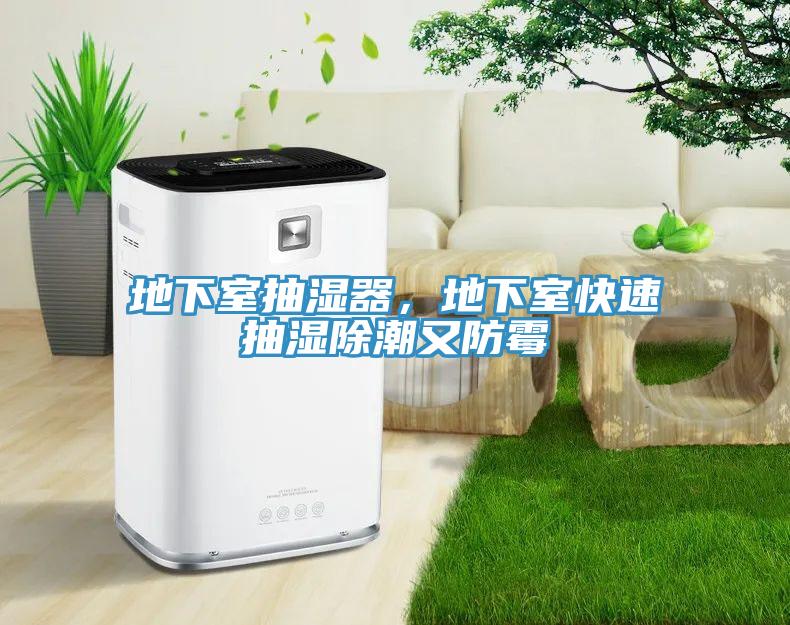 地下室抽濕器，地下室快速抽濕除潮又防黴