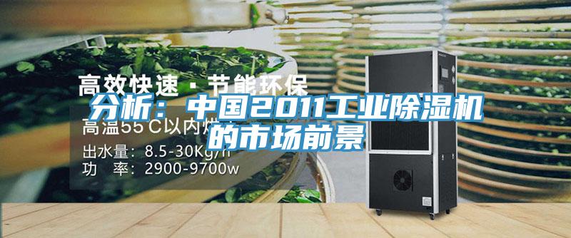 分析：中國2011工業榴莲视频官网APP的市場前景