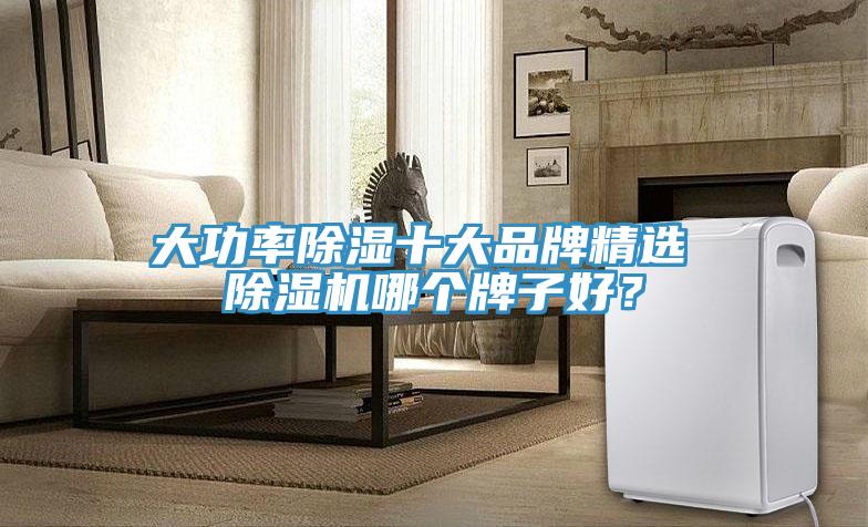 大功率除濕十大品牌精選 榴莲视频官网APP哪個牌子好？