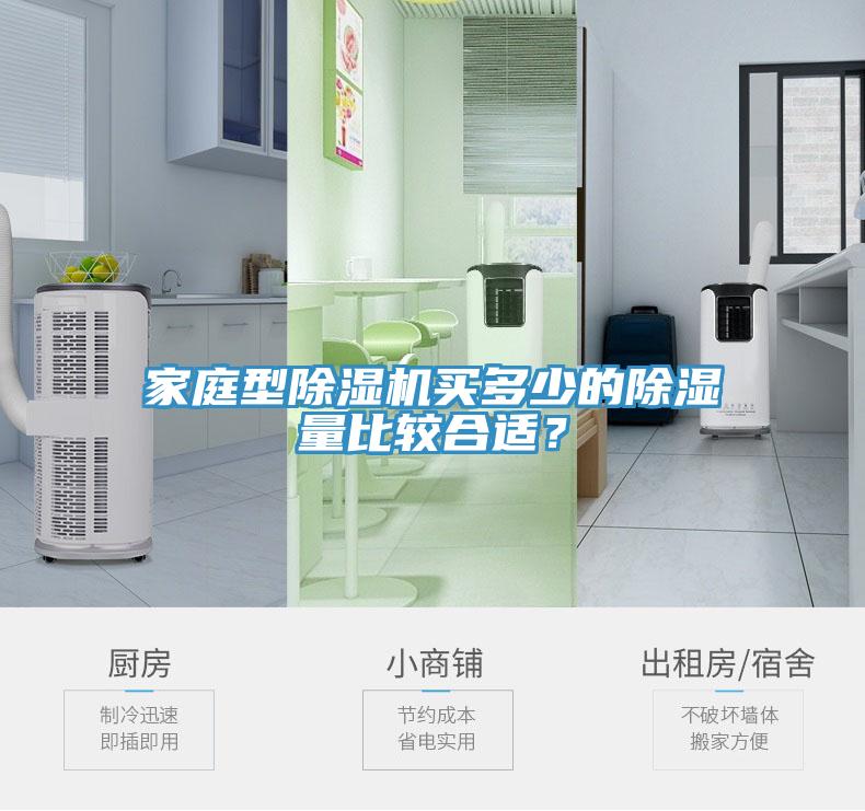 家庭型榴莲视频官网APP買多少的除濕量比較合適？