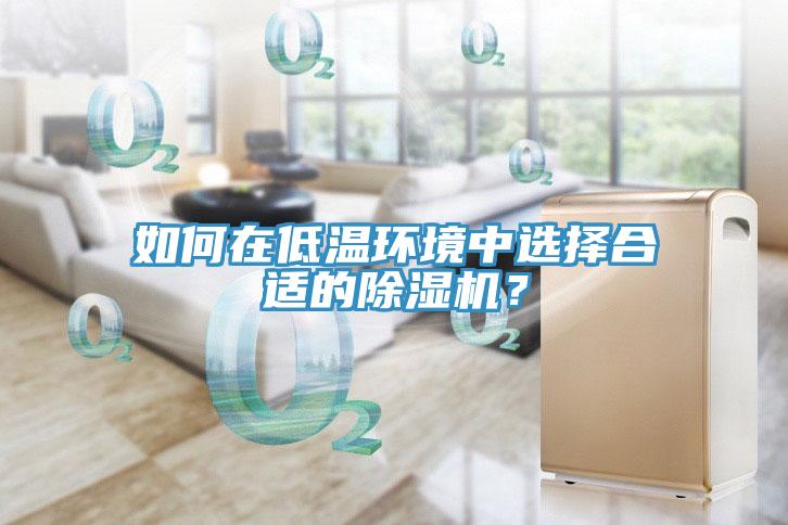 如何在低溫環境中選擇合適的榴莲视频官网APP？