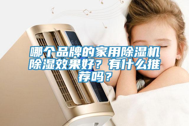 哪個品牌的家用榴莲视频官网APP除濕效果好？有什麽推薦嗎？
