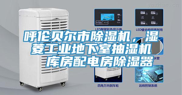 呼倫貝爾市榴莲视频官网APP，濕菱工業地下室抽濕機  庫房配電房除濕器