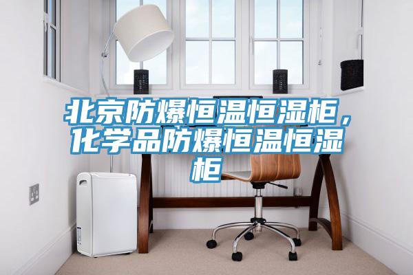 北京防爆恒溫恒濕櫃，化學品防爆恒溫恒濕櫃