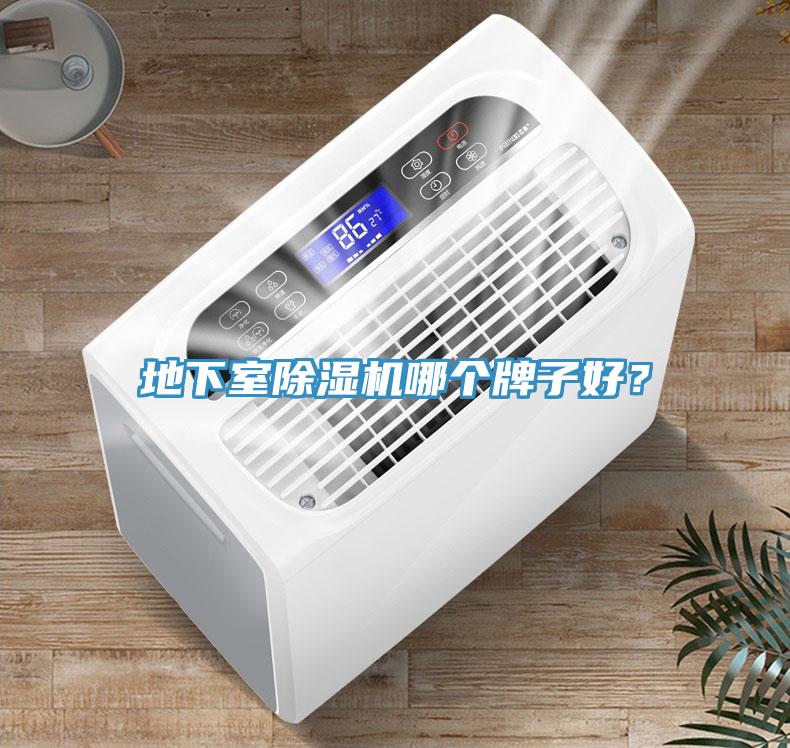 地下室榴莲视频官网APP哪個牌子好？