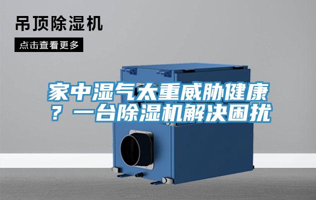 家中濕氣太重威脅健康？一台榴莲视频官网APP解決困擾