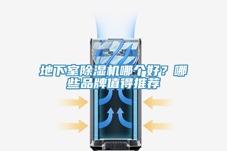 地下室榴莲视频官网APP哪個好？哪些品牌值得推薦