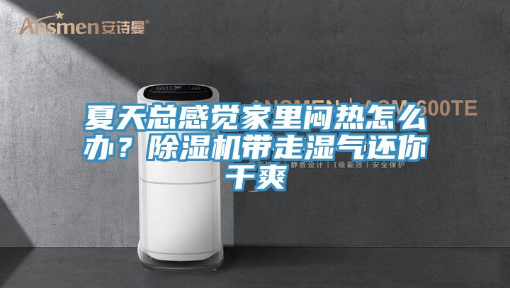 夏天總感覺家裏悶熱怎麽辦？榴莲视频官网APP帶走濕氣還你幹爽