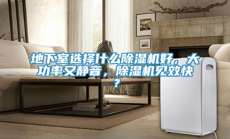 地下室選擇什麽榴莲视频官网APP好，大功率又靜音，榴莲视频官网APP見效快？