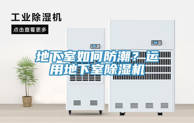 地下室如何防潮？運用地下室榴莲视频官网APP