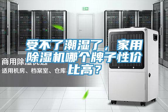 受不了潮濕了，家用榴莲视频官网APP哪個牌子性價比高？