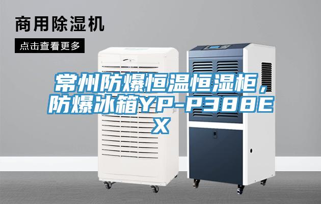 常州防爆恒溫恒濕櫃，防爆冰箱YP-P388EX
