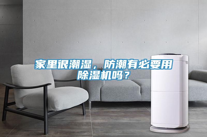 家裏很潮濕，防潮有必要用榴莲视频官网APP嗎？