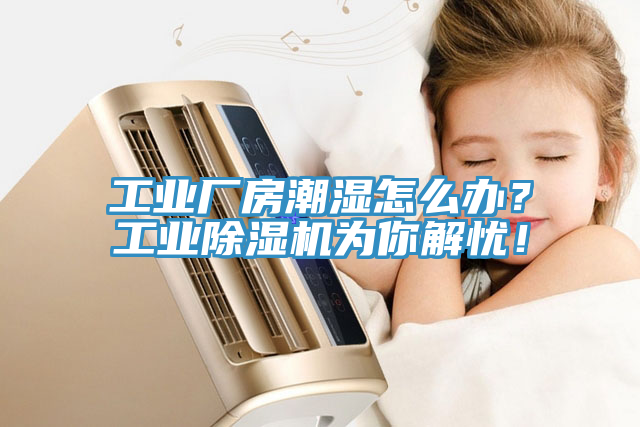工業廠房潮濕怎麽辦？工業榴莲视频官网APP為你解憂！