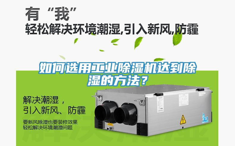 如何選用工業榴莲视频官网APP達到除濕的方法？