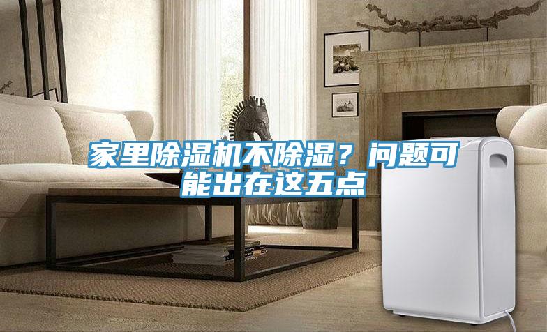 家裏榴莲视频官网APP不除濕？問題可能出在這五點