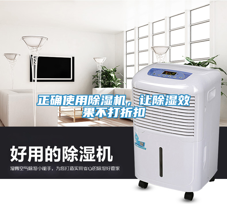 正確使用榴莲视频官网APP，讓除濕效果不打折扣