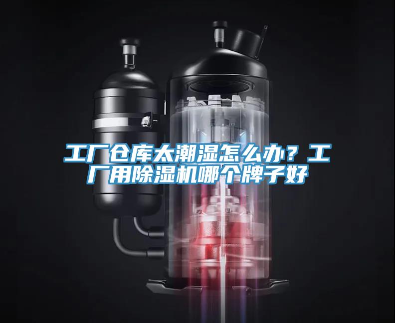 工廠倉庫太潮濕怎麽辦？工廠用榴莲视频官网APP哪個牌子好