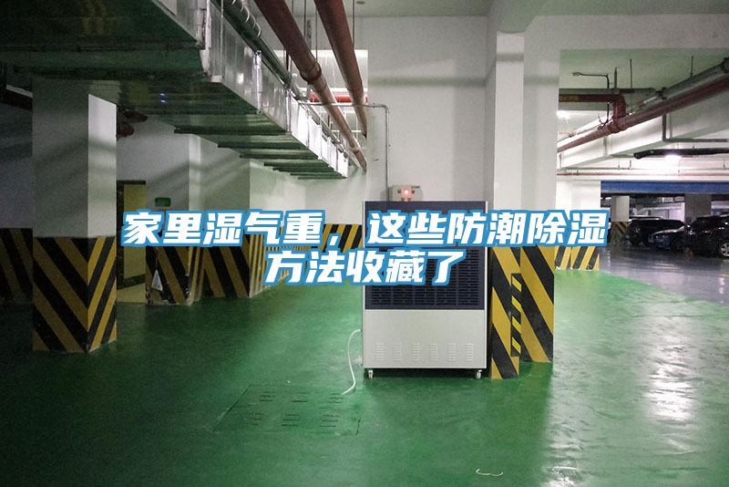 家裏濕氣重，這些防潮除濕方法收藏了