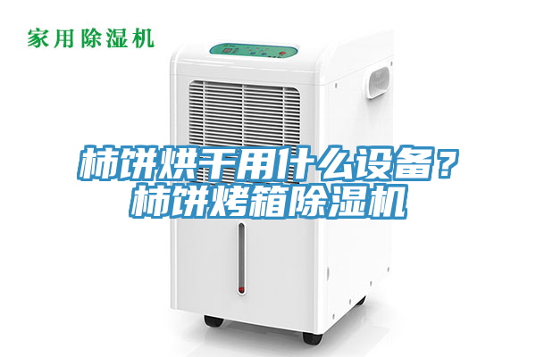 柿餅烘幹用什麽設備？柿餅烤箱榴莲视频官网APP