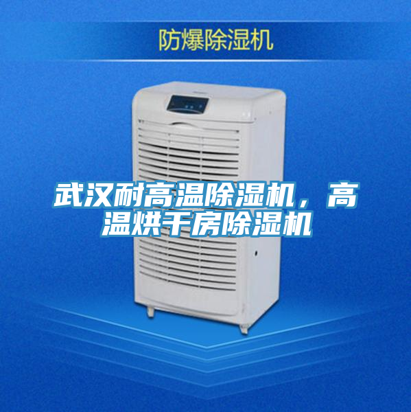 武漢耐高溫榴莲视频官网APP，高溫烘幹房榴莲视频官网APP