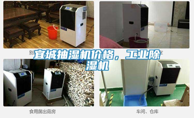 宜城抽濕機價格，工業榴莲视频官网APP