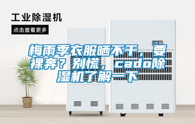 梅雨季衣服曬不幹，要裸奔？別慌，cado榴莲视频官网APP了解一下