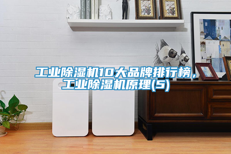 工業榴莲视频官网APP10大品牌排行榜，工業榴莲视频官网APP原理(5)