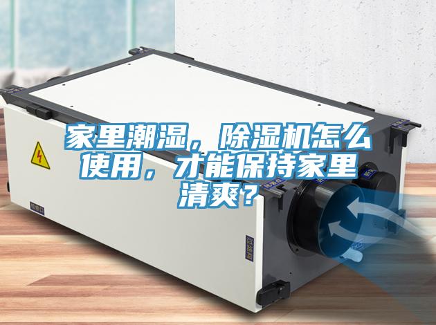 家裏潮濕，榴莲视频官网APP怎麽使用，才能保持家裏清爽？