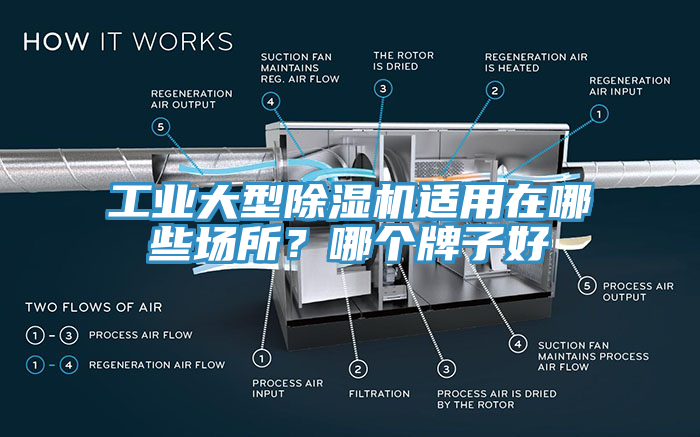 工業大型榴莲视频官网APP適用在哪些場所？哪個牌子好