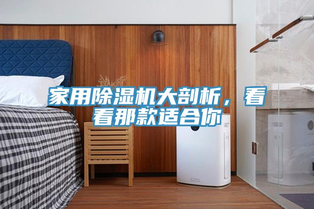 家用榴莲视频官网APP大剖析，看看那款適合你