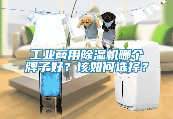 工業商用榴莲视频官网APP哪個牌子好？該如何選擇？