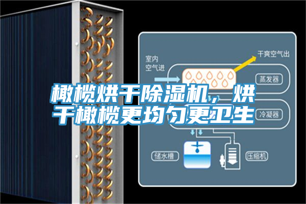 橄欖烘幹榴莲视频官网APP，烘幹橄欖更均勻更衛生