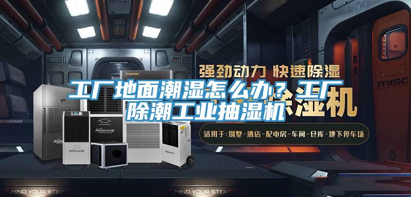 工廠地麵潮濕怎麽辦？工廠除潮工業抽濕機