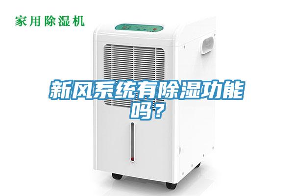 新風係統有除濕功能嗎？