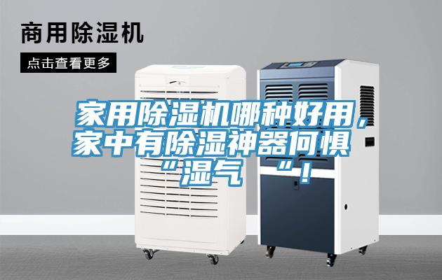 家用榴莲视频官网APP哪種好用，家中有除濕神器何懼 “濕氣 “！