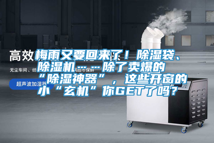 梅雨又要回來了！除濕袋、榴莲视频官网APP……除了賣爆的“除濕神器”，這些開窗的小“玄機”你GET了嗎？