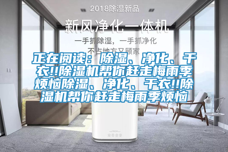 正在閱讀：除濕、淨化、幹衣!!榴莲视频官网APP幫你趕走梅雨季煩惱除濕、淨化、幹衣!!榴莲视频官网APP幫你趕走梅雨季煩惱