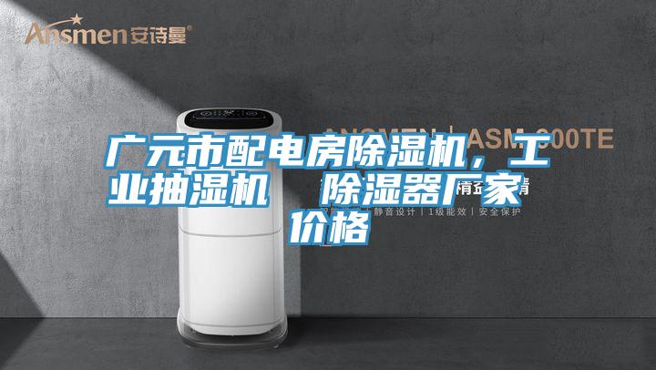 廣元市配電房榴莲视频官网APP，工業抽濕機  除濕器廠家 價格